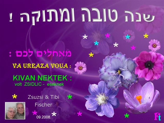 ROS_ HASANA- Zsidlic